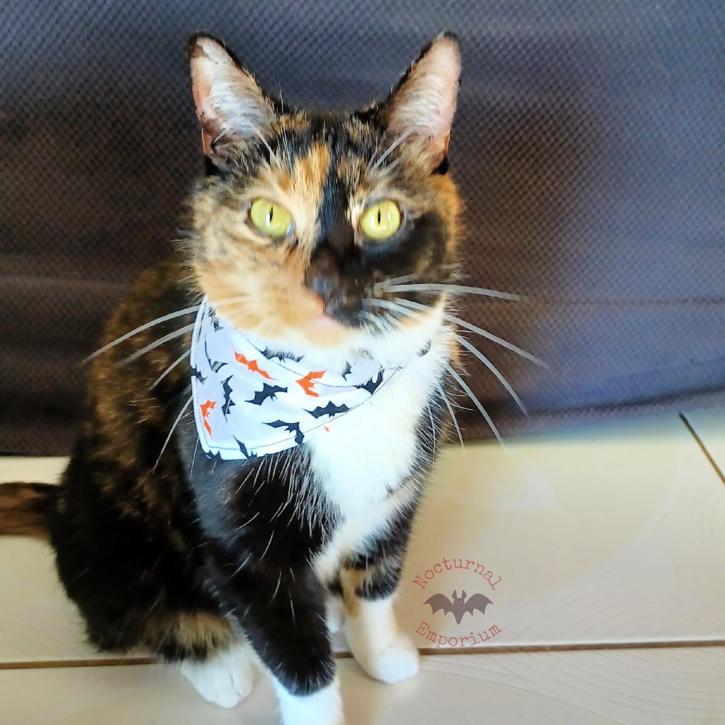 Cat Bandana with Bats: Halloween Fashion for Your Feline!
